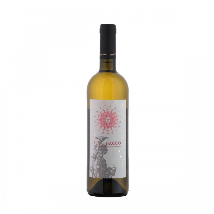 Fattoria Coroncino - Il Bacco' Verdicchio dei Castelli di Jesi Classico