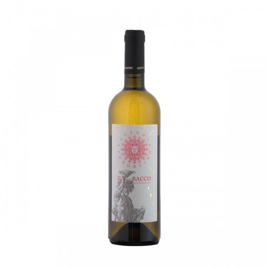 Fattoria Coroncino - Il Bacco' Verdicchio dei Castelli di Jesi Classico