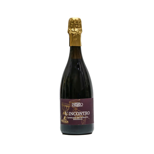 Cantina Puianello - Lambrusco 'Incontro'