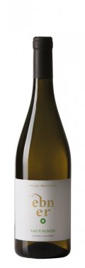 Weingut Ebner - Sauvignon